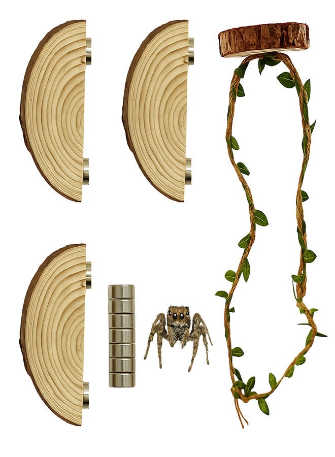 ZREVSB Jumping Spider Enclosure Accessories Kit, Habitat Decor-3 Wood Ledges & 1 Climbing Rope - Image 1